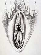 Art deco elongated clitoral shaft vulva