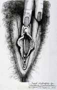 Demi-decorative vulva