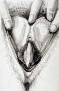 Two-toned vulva