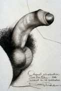 Uncircumcised cock